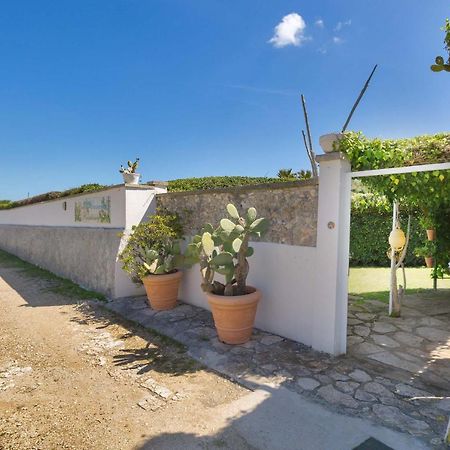 Residence Punta Cassano - In Piscina Sulla Spiaggia Di Sabbia 新福卡 外观 照片