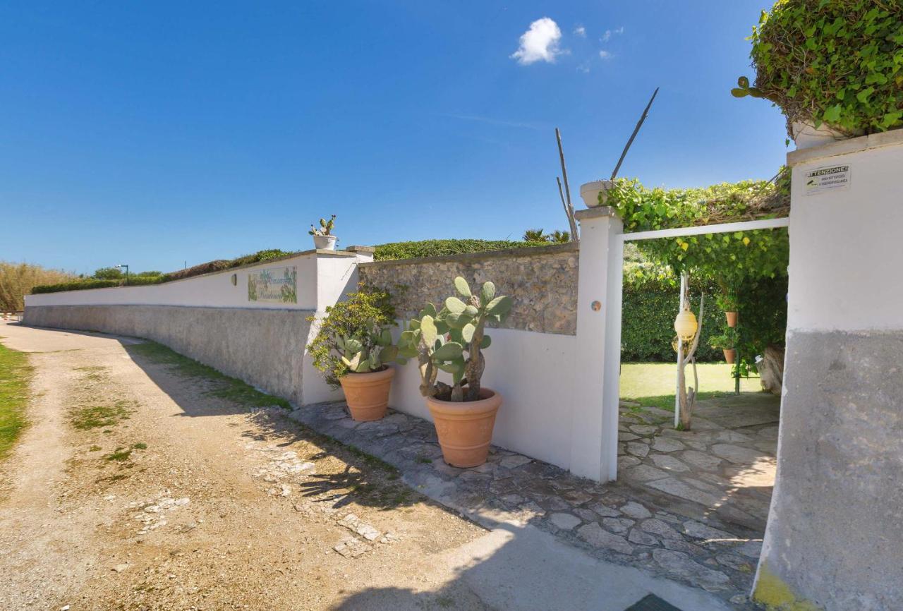 Residence Punta Cassano - In Piscina Sulla Spiaggia Di Sabbia 新福卡 外观 照片